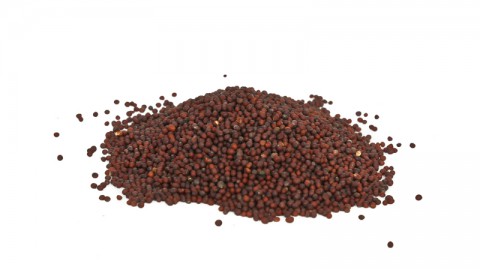 Product image for Mustard – Whole
